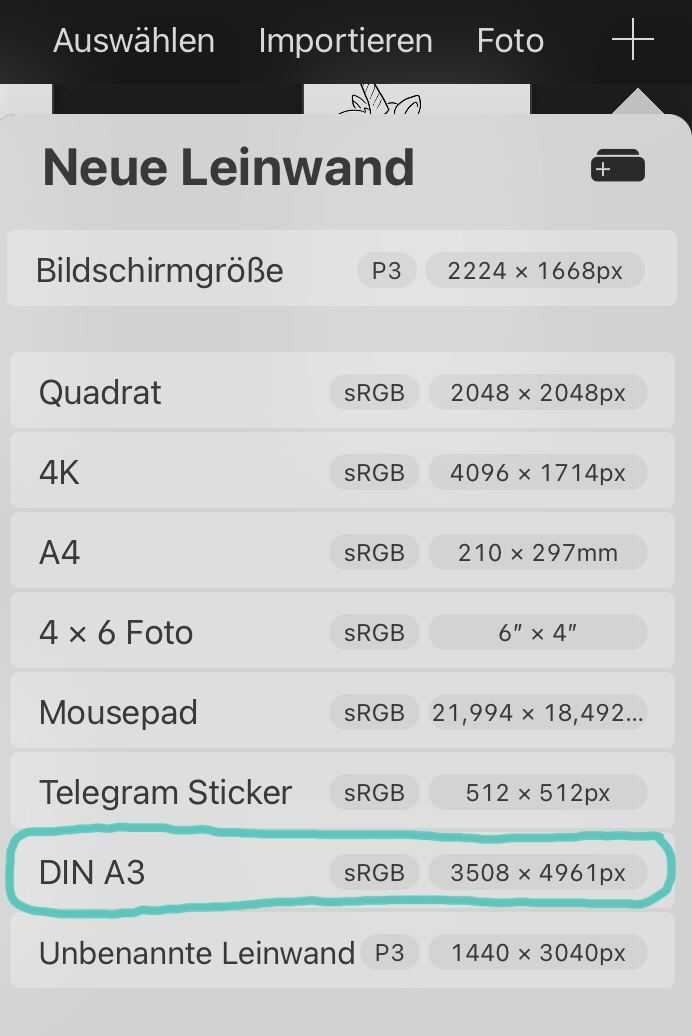 Leinwandgröße in Procreate einstellen